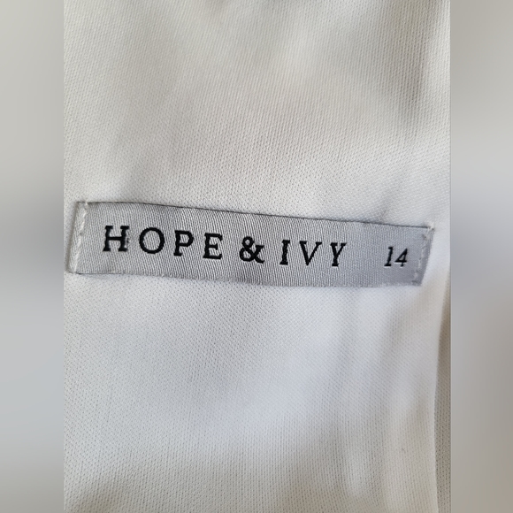 Hope & Ivy All Over Printed Peplum Hem Midi Keyhole Dress US 10/UK 14 - Picture 8 of 8